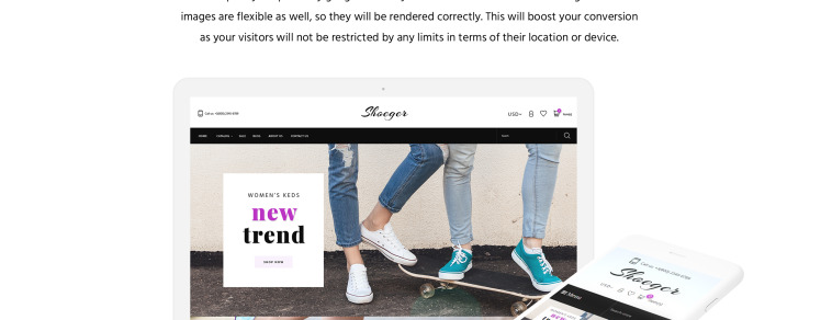 Shoe Store Responsive Shopify Theme #64380-3