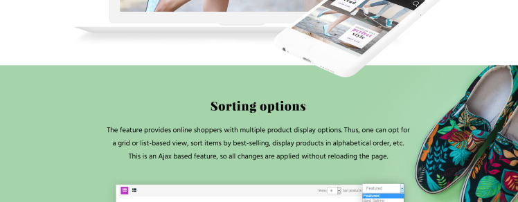 Shoe Store Responsive Shopify Theme #64380-4
