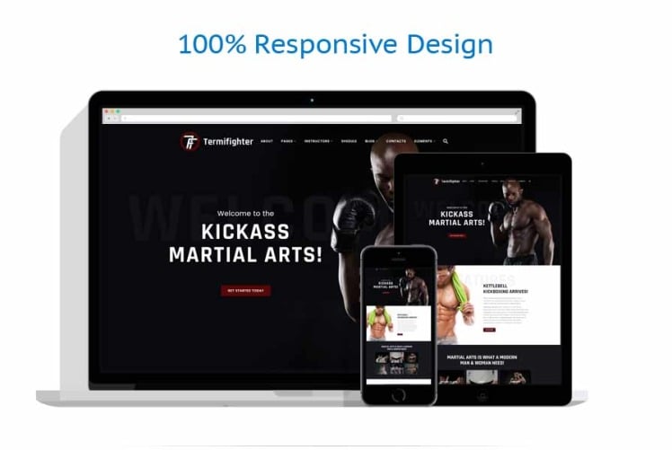 Mobile Friendly Responsive Website Business For Sale MARTIAL ARTS STORE