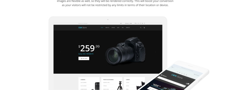 Electronics Store Responsive Shopify Theme #64635-3