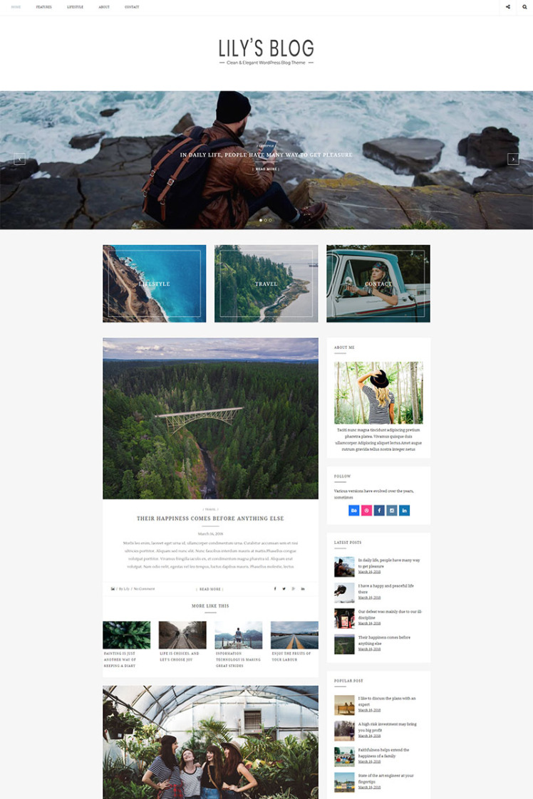 Lily - Clean & Elegant Blog WordPress Theme #68144