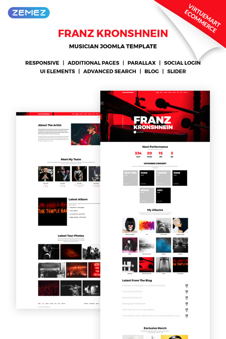 Franz Kronshnein Musician Joomla Templates
