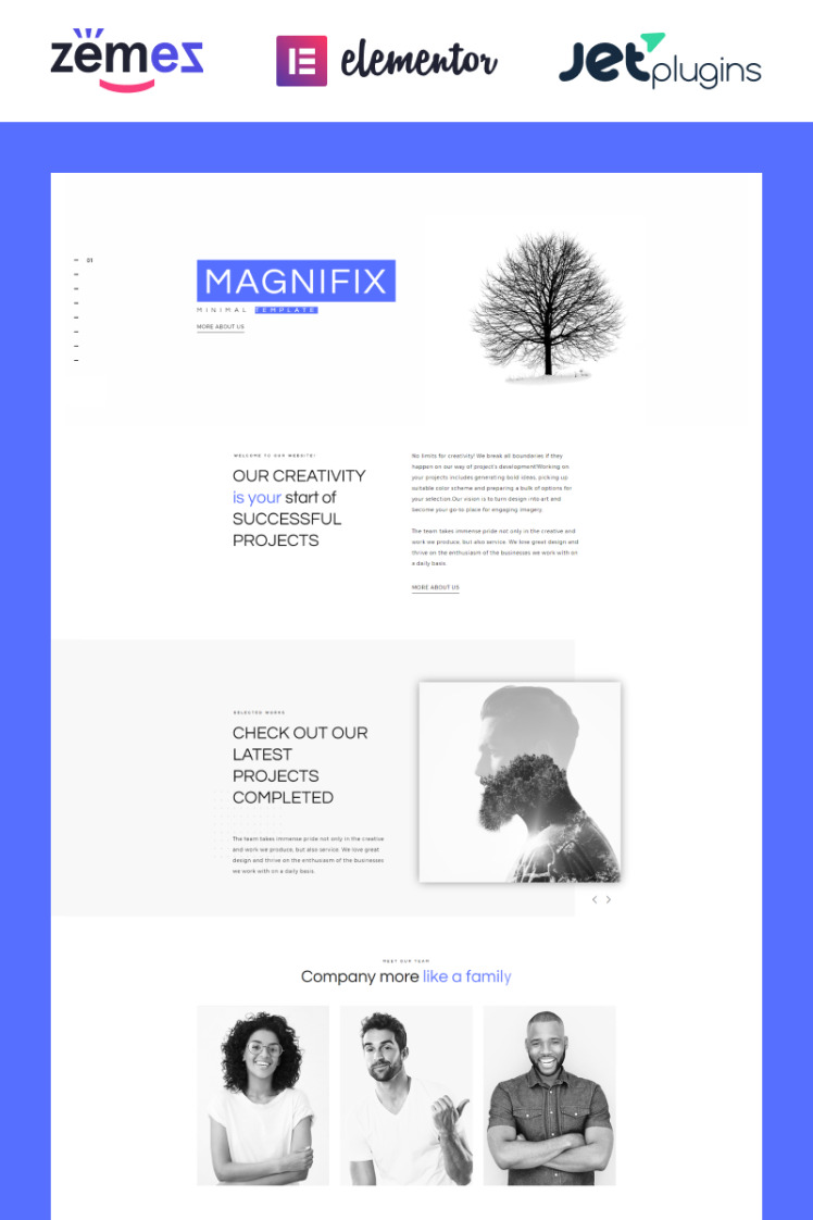 Magnifix Minimal Parallax WordPress Theme