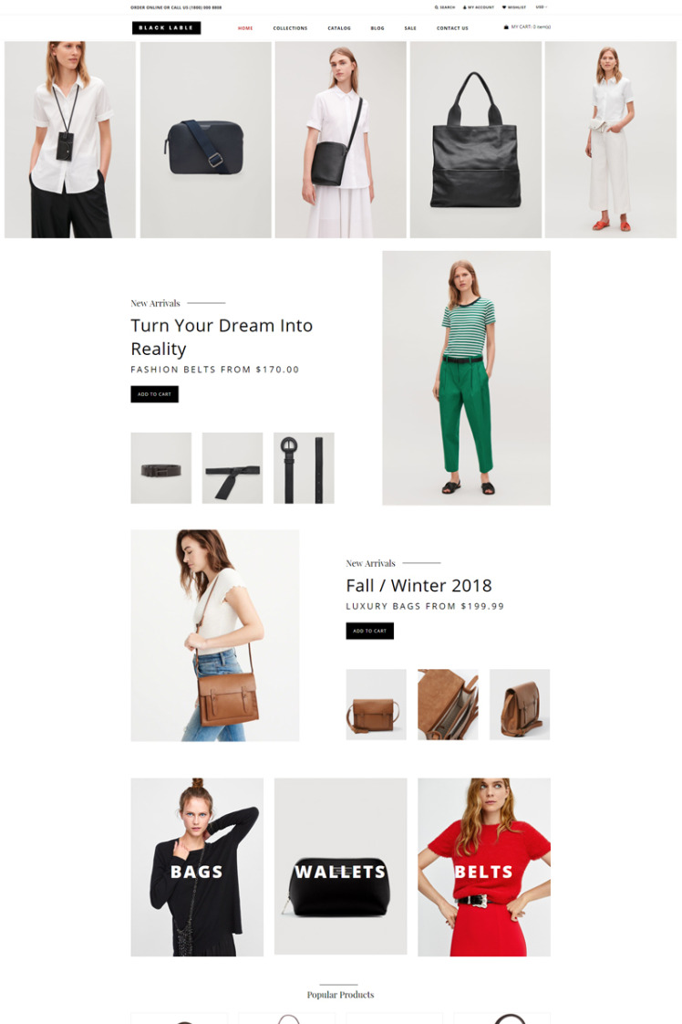 Black Lable Fashion Accessories Store Shopify Theme #75178
