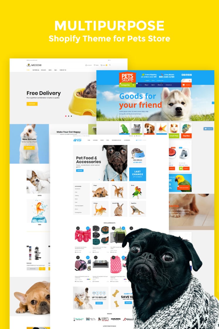Medow Pet Food Online Store Clean Shopify Themes