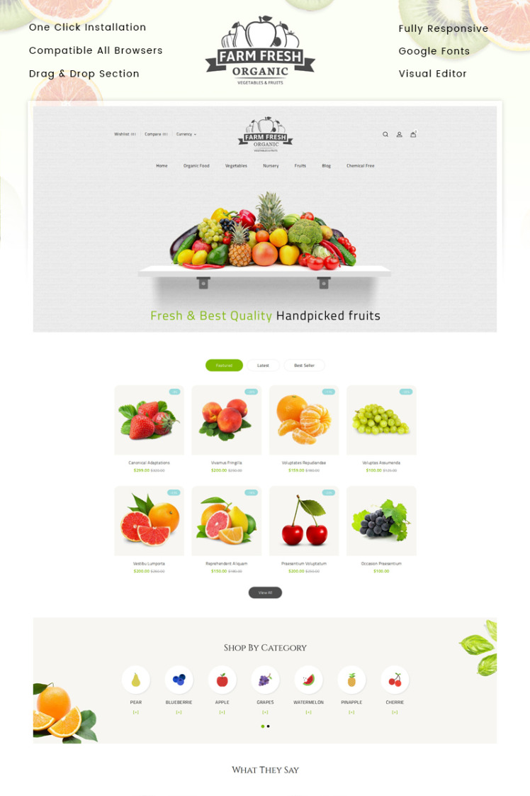 Organic Store Shopify Theme #83976