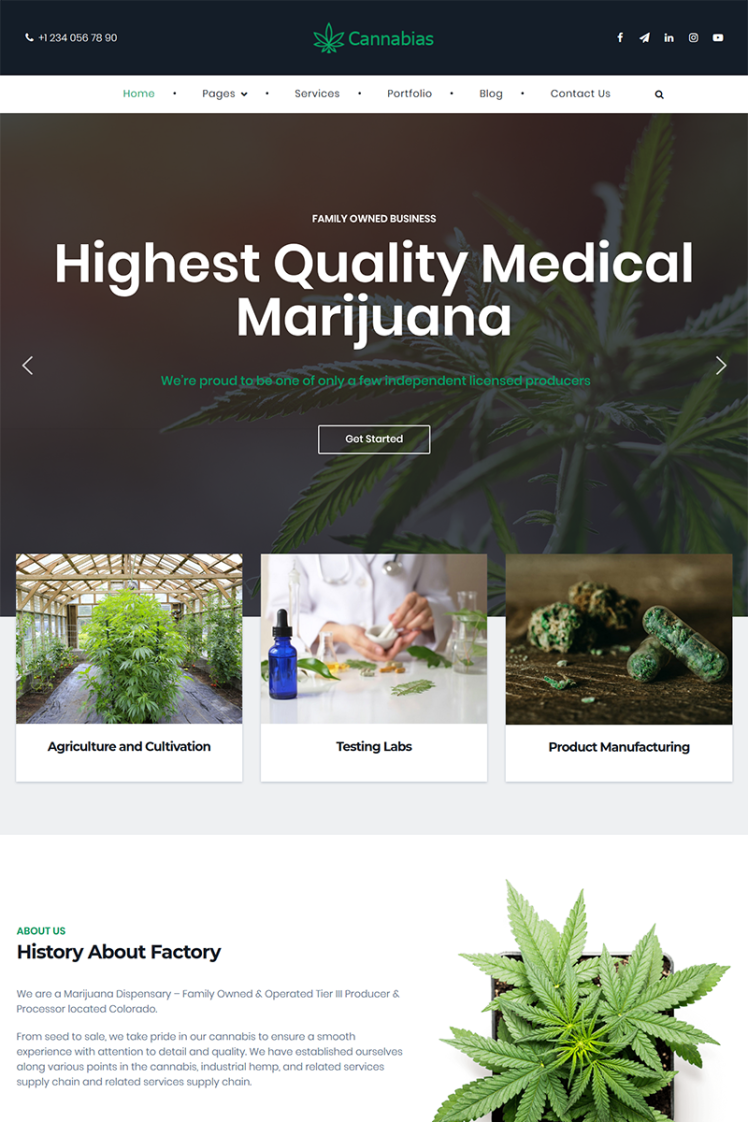 Cannabias medical marijuana business WordPress Theme