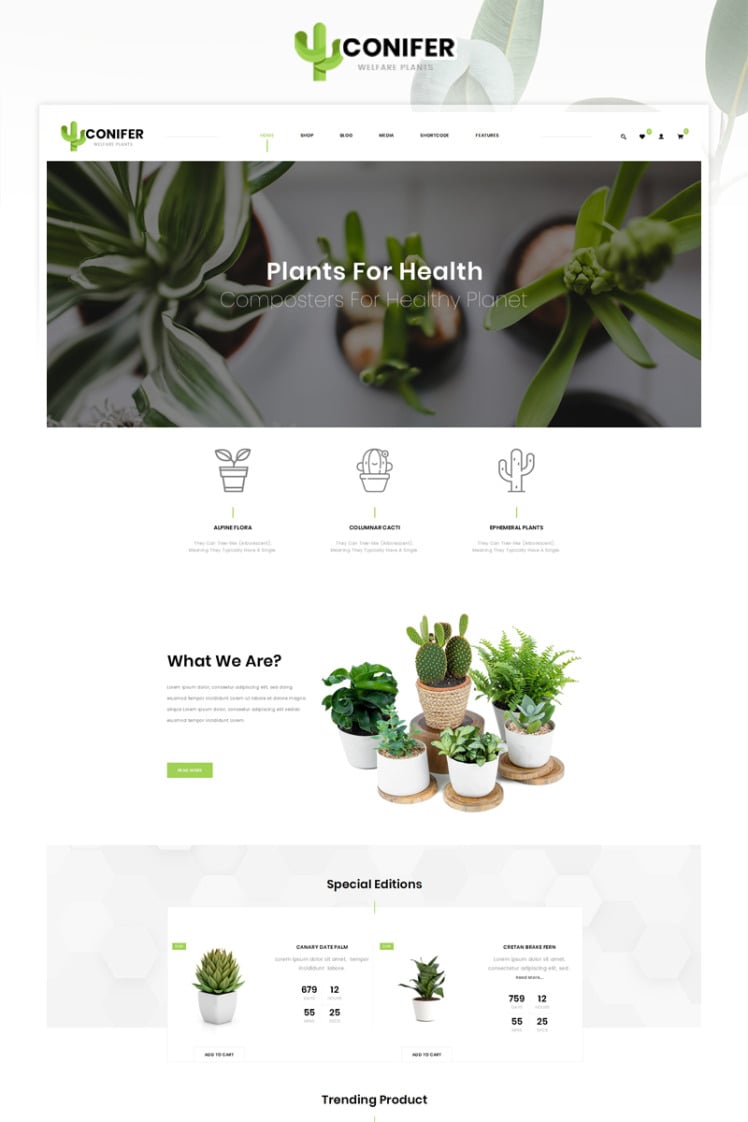 Conifer Plant Store WooCommerce Themes