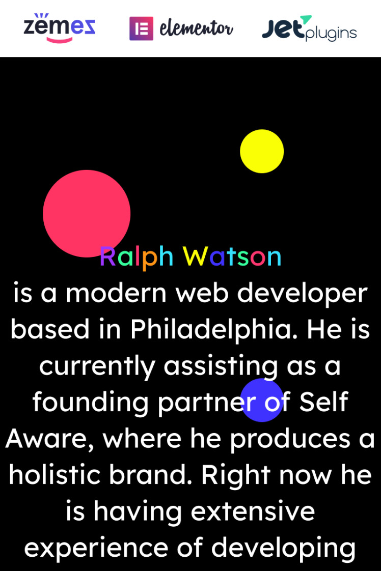 Web Portfolio Minimalistic Web Developer Portfolio Template WordPress Theme
