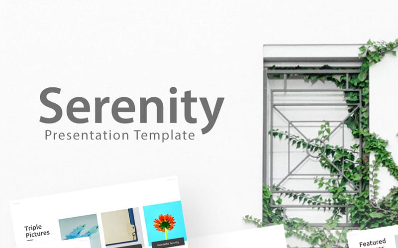 Serenity - Business PowerPoint template PowerPoint Template