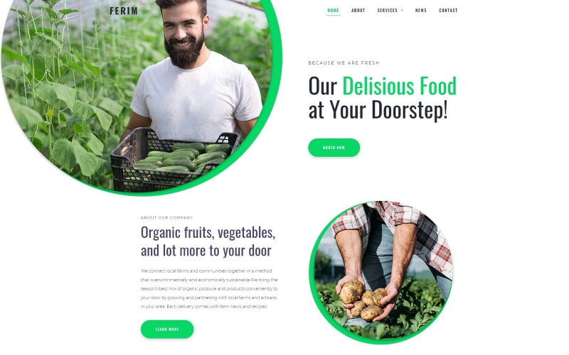 Ferim - Food Delivery Multipurpose Minimal WordPress Elementor Theme WordPress Theme