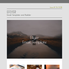 207 newsletter templates newsletter email templates templatemonster