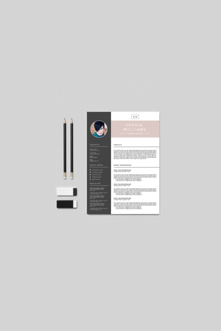 Template #76290 Resume Professional Webdesign Template - Logo template Preview