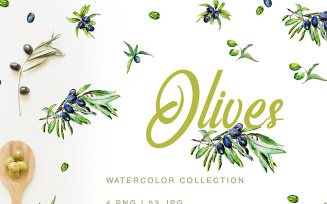 Green Olives Watercolor Png - Illustration