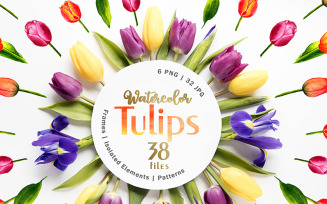 Tulips Watercolor Red Png - Illustration