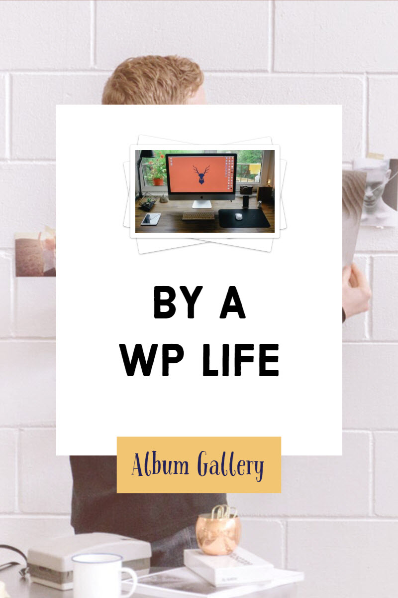 Album Gallery WordPress Plugin - screenshot