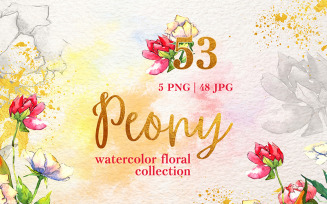 Peony Watercolor png - Illustration