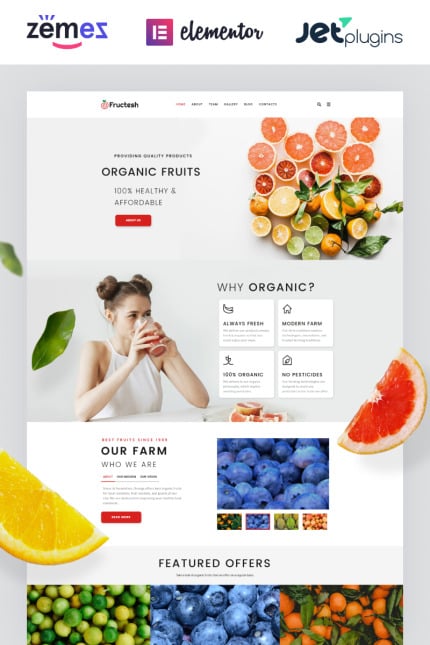 Template #76455 Fruit Delivery Webdesign Template - Logo template Preview
