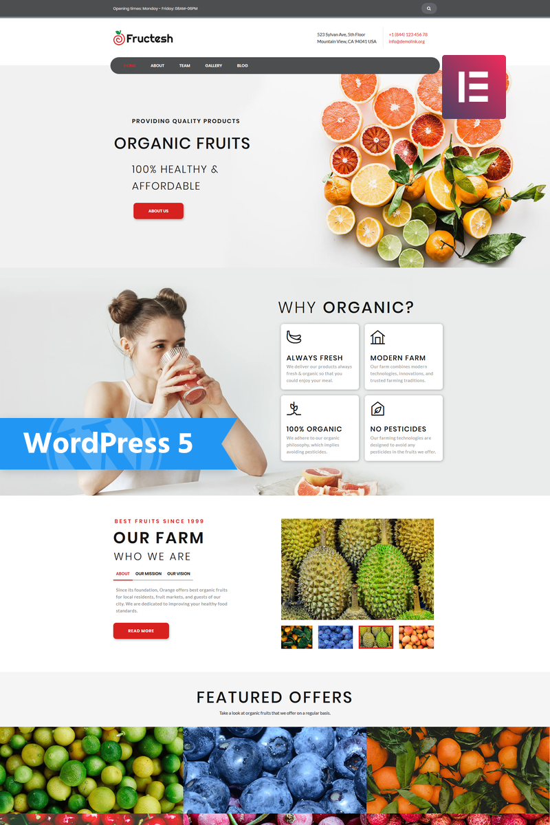 Fructesh - Organic Fruits Delivery Multipurpose Modern WordPress Elementor Theme