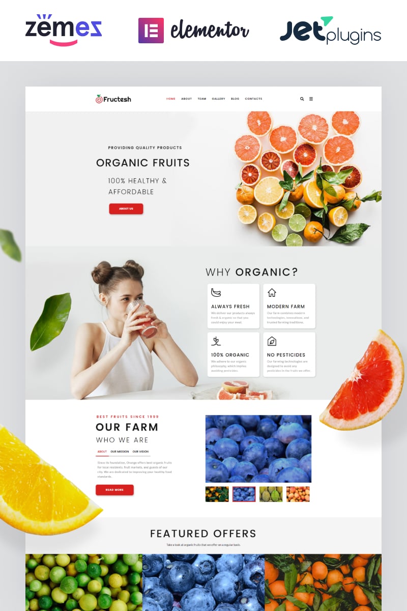 Fructesh - Organic Fruits Delivery Multipurpose Modern Elementor WordPress Theme - screenshot