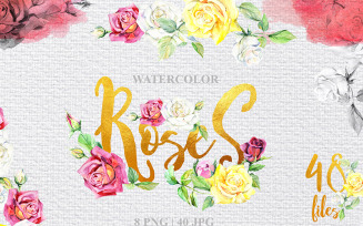 Rose Technique Watercolor Png - Illustration