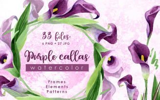 Purple Callas Watercolor png - Illustration