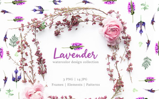 Lavender Watercolor png - Illustration