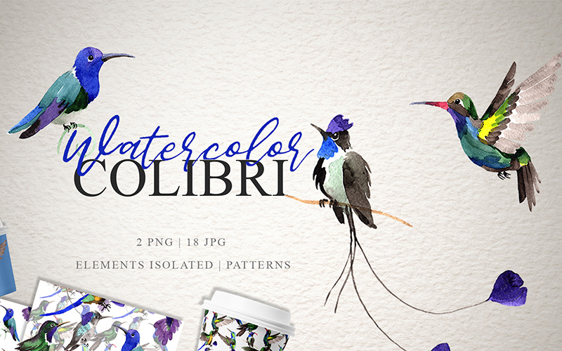 Colibri Watercolor Png - Illustration