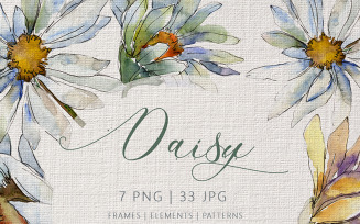 DAISY Watercolor png - Illustration