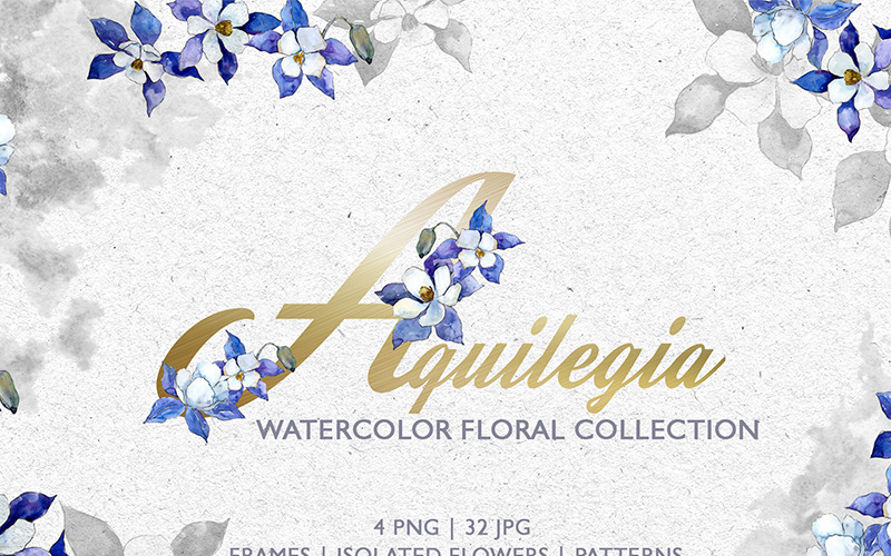 Watercolor Blue Aquilegia Png - Illustration