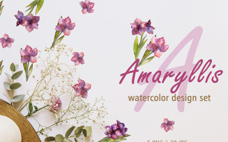 Amaryllis Design Set Watercolor Png - Illustration