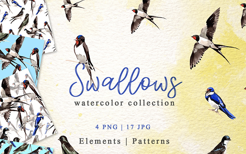 Swallows Watercolor png - Illustration