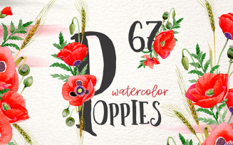 Magic Poppies red Watercolor Png - Illustration