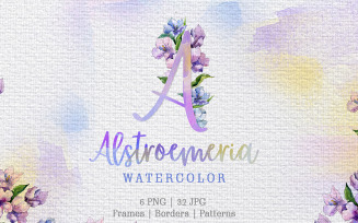 Alstroemeria Violet Watercolor png - Illustration
