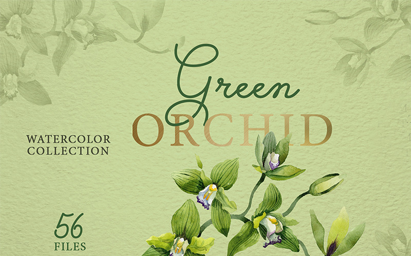 Green Orchid Watercolor png - Illustration