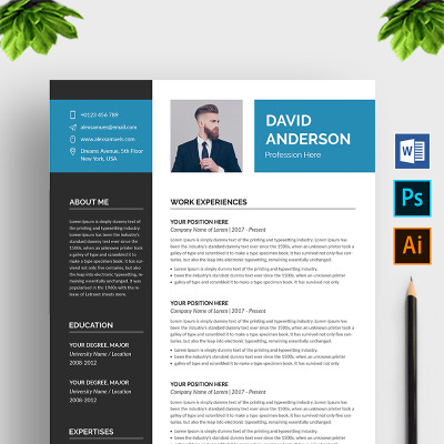 David Anderson Resume Template