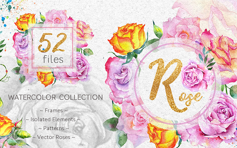 Pink Roses Collection Watercolor png - Illustration