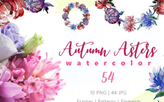 Autumn Asters Watercolor Png - Illustration