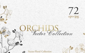 Branch Of Orchids Vector Watercolor - Illustration