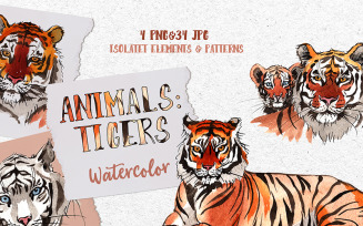 Animals: Tigers Watercolor Png - Illustration