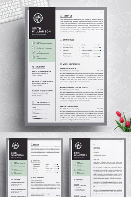 Template #78713 Page Resume Webdesign Template - Logo template Preview