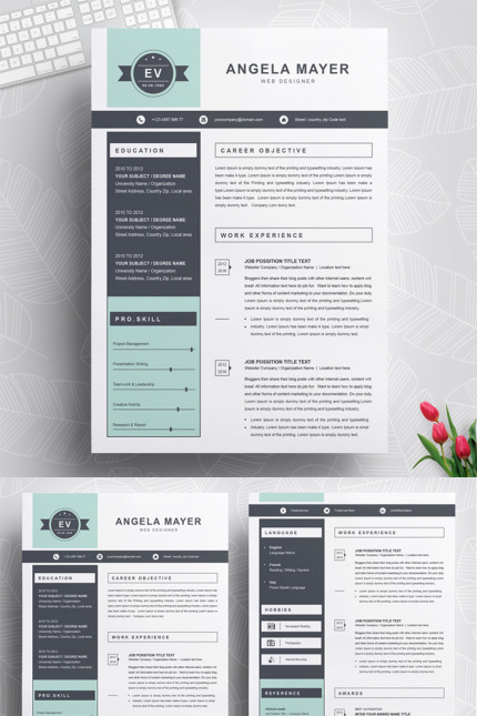 Template #79001 Page Resume Webdesign Template - Logo template Preview