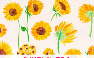34 Happy Yellow Sunflowers - Illustration