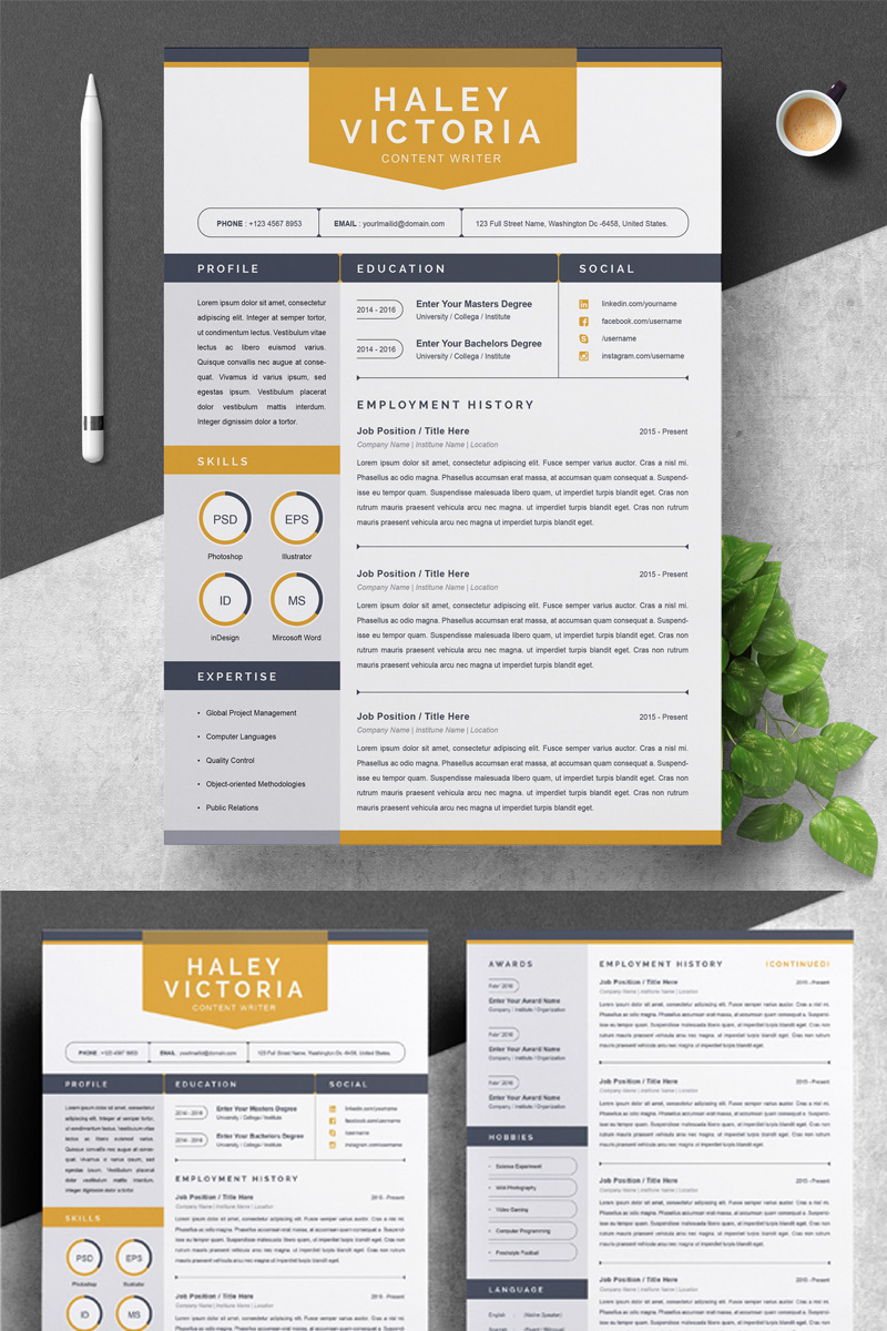Premium Haley Resume Template #79416 - skärmbild