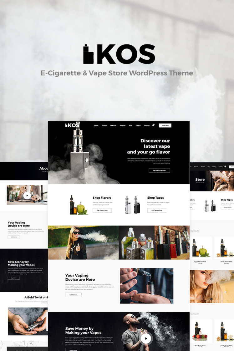 WordPress Themes