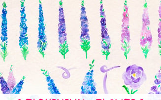 37 Larkspur Delphinium Flower - Illustration