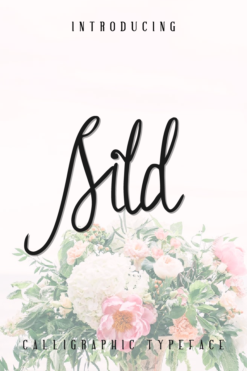 Sild Beauty Font