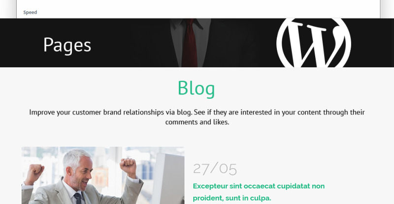 Thème WordPress adaptatif pour portail demplois #52547 - Image 26