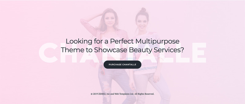 Chantalle - Multipurpose Woman Fashion Elementor WordPress Theme - Features Image 8