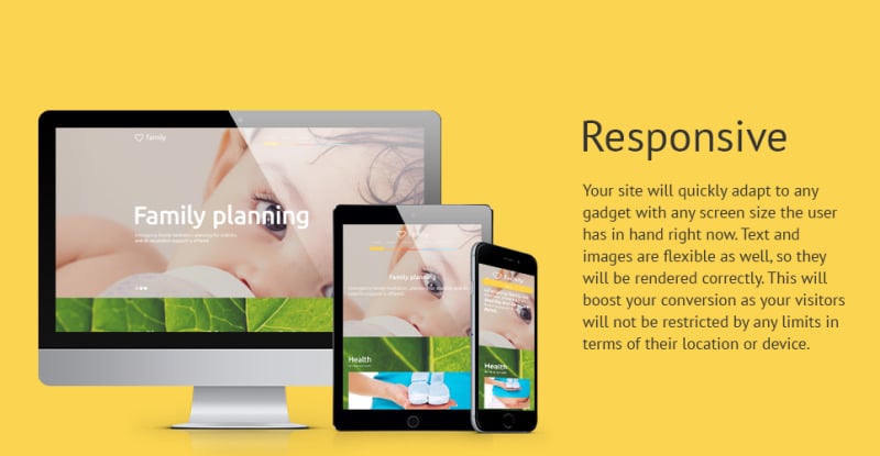 Family Planning WordPress Theme - Features Image 1